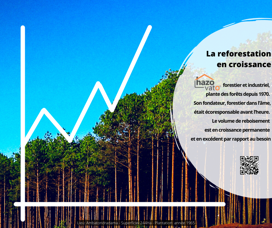 La reforestation en croissance